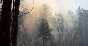 More than 6,000 acres burning; live updates from WNC