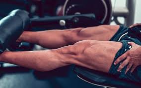 Coffee machine gemelli muscles of the leg. Function Of The Rectus Femoris Muscle