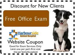 The label of pet care. Home Harbourside Vet Animal Hospital Veterinary Clinic Pets First