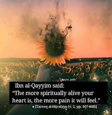 Quotes about pain and life. Pin By Hana Farook On Islamic Picture Islamic Quotes Inspirational Quotes Pictures Islamic Pictures
