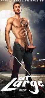 Logan Stevens - WAYBIG