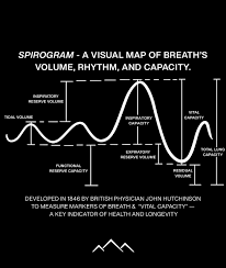 Image result for Vital Capacity