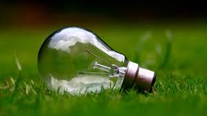 The Best Turtle Light Bulb In The World Turtleholic
