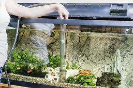 For tanks larger than that you'll probably want to consult with an expert. The 25 Best Aquarium Gravel Cleaners Of 2021 Pet Life Today