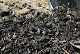 The workshop is divided into 5 parts below… What Is Biochar And How To Create It In Your Garden Hgtv
