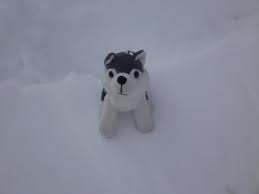 Story by matt allred photos by jake allred & brp jan. Ski Shooting Skibha Sengane Kg Pages Directory