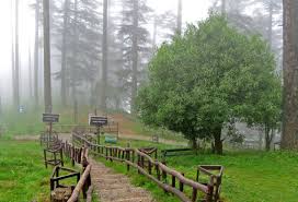 Danaulti tog 'etaklarida joylashgan tepalik stantsiyasidir garxval himoloy oralig'i ning tepalik stantsiyasidan 24 km (15 milya) masofada joylashgan musori. Echo Point Dhanaulti Uttarakhand Images Best Time To Visit