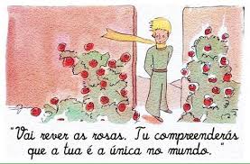 O Pequeno Príncipe ( Frases) - Rosa 🌹 O Pequeno Príncipe ( Frases) |  Facebook