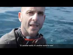 Bummer: Big-Wave Legend Goes Missing!