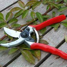5 Favorites Pruners Gardenista Garden Tools Japanese Garden Tools Gardening For Beginners