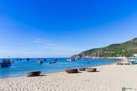 [Hình: images?q=tbn%3AANd9GcTg8vvEjsy11Z5eKbRYE...A&usqp=CAU]