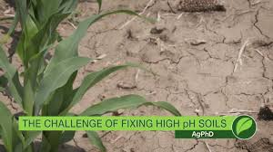 If your are searching for ways. Fixing High Ph Soils 1015 Air Date 9 17 17 Youtube