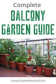 Balcony Garden Guide Balcony Garden Small Balcony Garden Apartment Balcony Garden