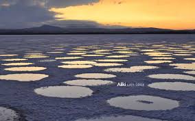 Salt Lake Cyprus Larnaca District Cyprus Destinations Cyprus Tourism Portal Cyprus Tourism Cyprus Larnaca Cyprus Greece