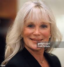 269 Bloomingdale Illinois Stock Photos, High-Res Pictures, and Images