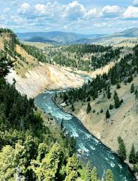 隔壁老黄@laohuang1069 - Twitter Profile | Sotwe