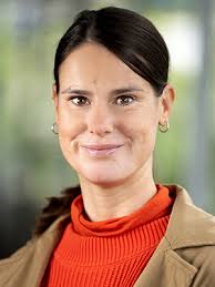 Geschichtsdidaktik, Erinnerungskulturen und Public History