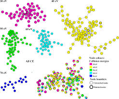 Image result for Momordica cardiospermoides