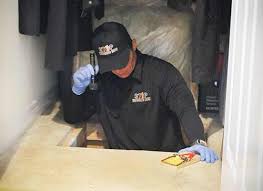 The attic is one of the most challenging areas of any home to treat for pests. Crawlspace And Attic Restoration Seattle Pest Control Stop Bugging Me