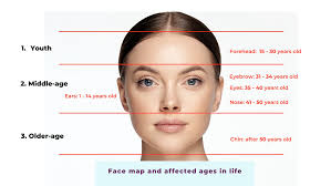 Chinese Face Reading Basics Picture Healer Feng Shui Craft Art Chinese Medicine Chinese Face Reading Face Reading Face