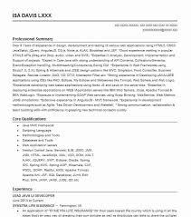 Use the right java developer resume format. Lead Java J2ee Developer Resume Example Company Name Tampa Florida