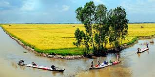 Trà vinh nguyễn thị minh khai, khóm 6, p. Ha Ná»™i Cáº§n ThÆ¡ Báº¡c Lieu Ca Mau Du Lá»‹ch Tnbtravel