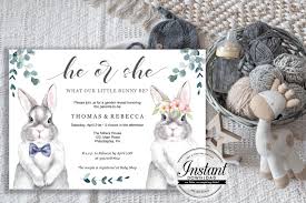 You will see their abdomen and then their tail hiding their genitalia. Gender Reveal Invitation Baby Bunny Gender Reveal Invite Printable He Or She Rabbit Digital Download Pdf