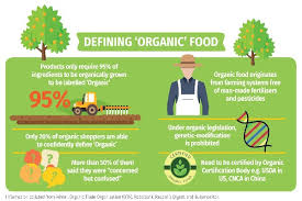 Meeting Millennial Demand Organic Maltodextrin For Infant Nutrition Asia Pacific Food Industry