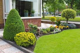 You get to mow less often and your grass will develop deeper roots. How To Remove Grass To Start A Garden And Not A Weedy Nightmare