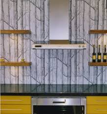 kitchen wallpaper border ideas cole