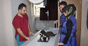 Osman selçuk aldemir, fakülte dekanı prof. Selcuk Universitesinden Avrupa Standartlarinda Ikinci Hayvan Hastanesi