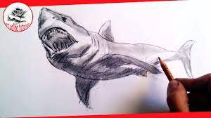 Its body's shape is very simple and resembles that of a fish or the dolphin. How To Draw Realistic Sharks With Pencil Step By Step And Easy Drawing The Easy Way Youtube