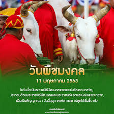 ๒ ต่อเพื่อไปถึงสนามหลวง มิน่าถึงเป็นวันพืชใช่ไหมหล่ะ เพราะพืชก็ต้องการน้ำ แต่คืนหลังจากวันนั้นมา ๕ วัน. Aam