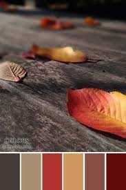 Pin On Palettes De Couleurs Color Palettes