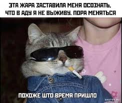 В связи с этим, сегодня верующим запрещено употреблять в. Kartinki S Nadpisyami I Memy 50 Shtuk