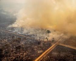 Image of Deforestation causing smoke and air pollution