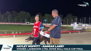 @Thedogs_com_au's video Tweet