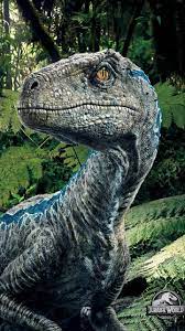 If you're in search of the best dinosaur wallpaper, you've come to the right place. Blue Raptor Wallpapers Top Free Blue Raptor Backgrounds Wallpaperaccess