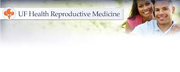Nearly 12% of american women have difficulty becoming pregnant or carrying a pregnancy to term. In Vitro Fertilization Ivf Uf Health Reproductive Medicine Services Uf Health University Of Florida Health