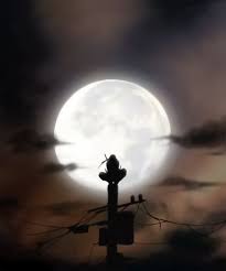 Fond écran ps4 itachi / naruto shippuden itachi fond d ecran dessin fond d ecran jeux fond d ecran telephone / portail des communes de france :. Itachi Seni Anime Gambar Manga Gambar Anime