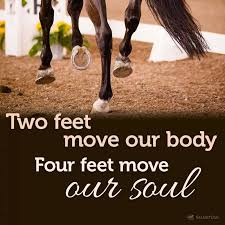 Two Feet Move Your Body Four Feet Move Your Soul Two Feet Move Our Body Four Feet Move Our Soul Horse Love Quote Horse Quotes Equestrian Quotes Horse Life