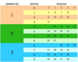 30 Nedel Beremennosti Eto Skolko Mesyacev