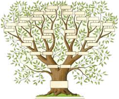 L'étude généalogique peut imprimer votre arbre. 13 Idees De Genealogie En 2021 Genealogie Arbre Genealogique Arbre Genealogique Gratuit