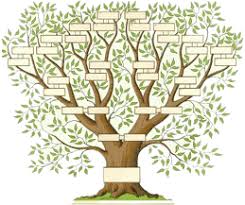 A tout moment, vous pouvez imprimer votre arbre généalogique pour le montrer à votre famille. 13 Idees De Genealogie En 2021 Genealogie Arbre Genealogique Arbre Genealogique Gratuit