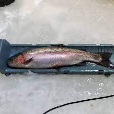 Lake village community fishing pond. Trip Report Dec 1 2019 Dolberg Lake String Theory Angling