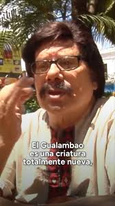 🎼Gualambao, una melodía misionera que se nutrió del paisaje natural y de  las historias de la Tierra Colorada., 🌿 Nació por la necesidad de  sintetizar en una sola melodía los ritmos regionales de ...