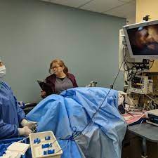 Follow the directions below to the hospital, which is located in the health sciences district of campus just south of the football stadium. Uc Davis Veterinary Medical Center San Diego 10 Photos 30 Reviews Veterinarians 10435 Sorrento Valley Rd San Diego Ca Phone Number