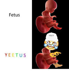 We did not find results for: A Baby Memified Before Birth Memes