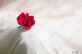 Maybe you would like to learn more about one of these? Kleine Rote Rose Auf Dem Hochzeitskleid Foto Vorratig Crushpixel