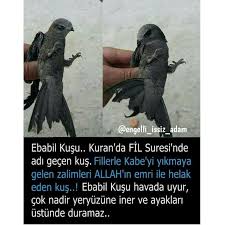 Mochamad Firdaus Adli Kullanicinin Islamic History Panosundaki Pin Bilgi Bilgi Karti Ilginc Gercekler
